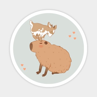 Cute capybara with a baby goat on its head Magnet